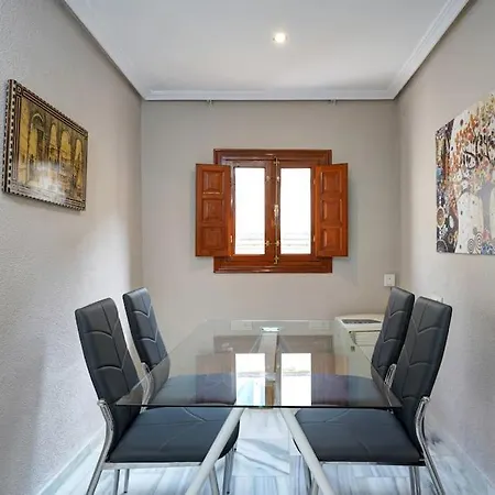 Apartamento Granada Centro. ÁTICO Ayuntamiento-3